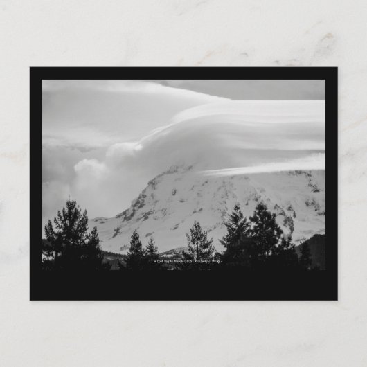 3月の寒い日 ポストカード (正面)