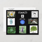 3月の誕生のシンボル ポストカード (正面/裏面)