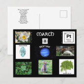 3月の誕生日のシンボル ポストカード (正面/裏面)