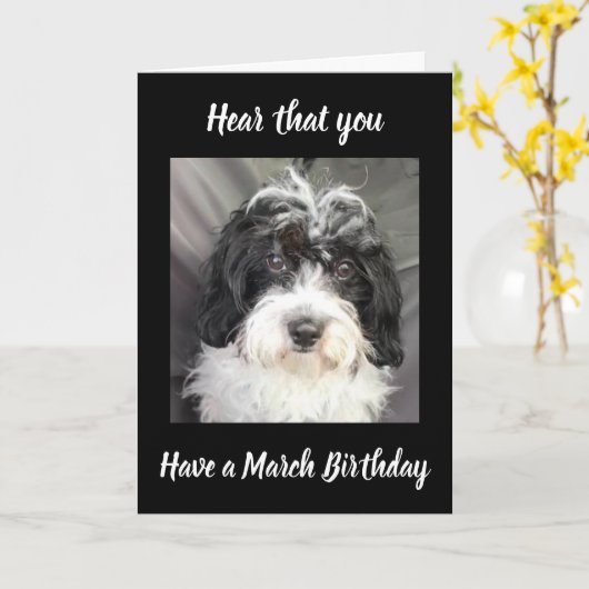 ***3月の誕生日****特別な人を希望します！ カード (黄色い花)