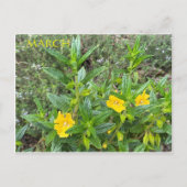 3月はがき ポストカード (正面)