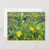 3月モンキーフラワー ポストカード (正面/裏面)