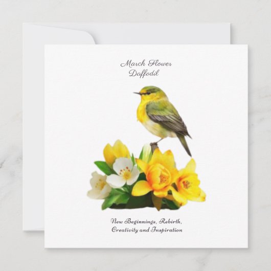 3月誕生月花鮮やか誕生日 (正面)