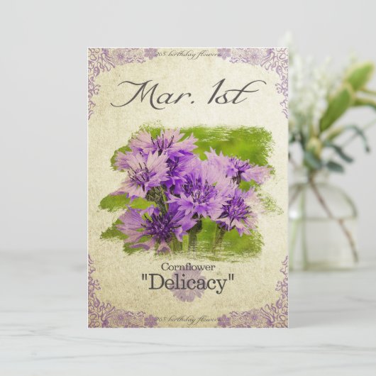 3月1日の誕生花「コーンフラワー」 カード (スタンド正面)