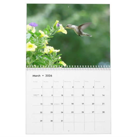 3月22日から2月23日までの自然・カレンダのモーメント カレンダー (3月 2026)