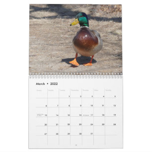 3月22日~2月23日自然・カレンダ カレンダー