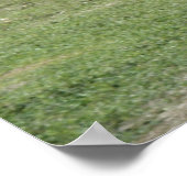 3月4日_パークダックスポスター ポスター (角)