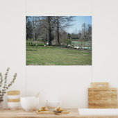 3月4日_パークダックスポスター ポスター (キッチン)