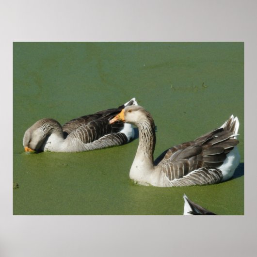 3月4日(51)キャンバス ポスター (正面)