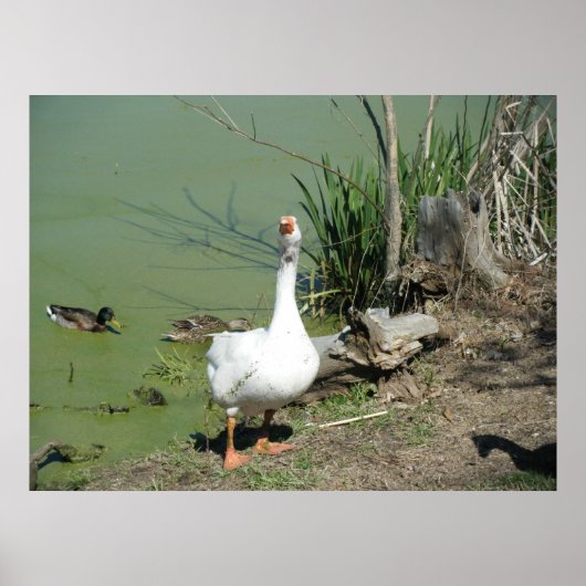 3月4日（62日）キャンバス ポスター (正面)