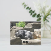 3月7日927日ZuZu、ZuZu ポストカード (スタンド正面)