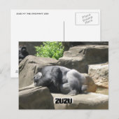 3月7日927日ZuZu、ZuZu ポストカード (正面/裏面)
