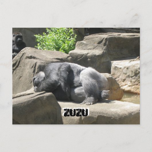 3月7日927日ZuZu、ZuZu ポストカード (正面)