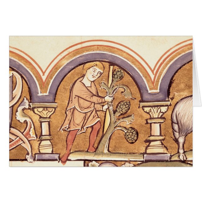 3月: 木の接木 (正面横)