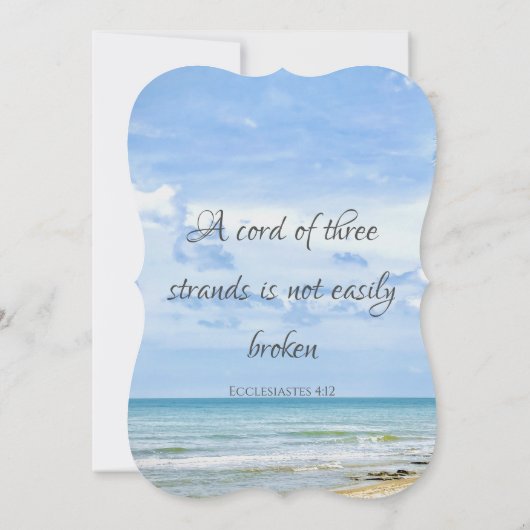 3本のストランドのコードターコイズビーチ (裏面)