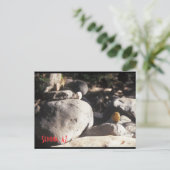 3本の岩 ポストカード (スタンド正面)