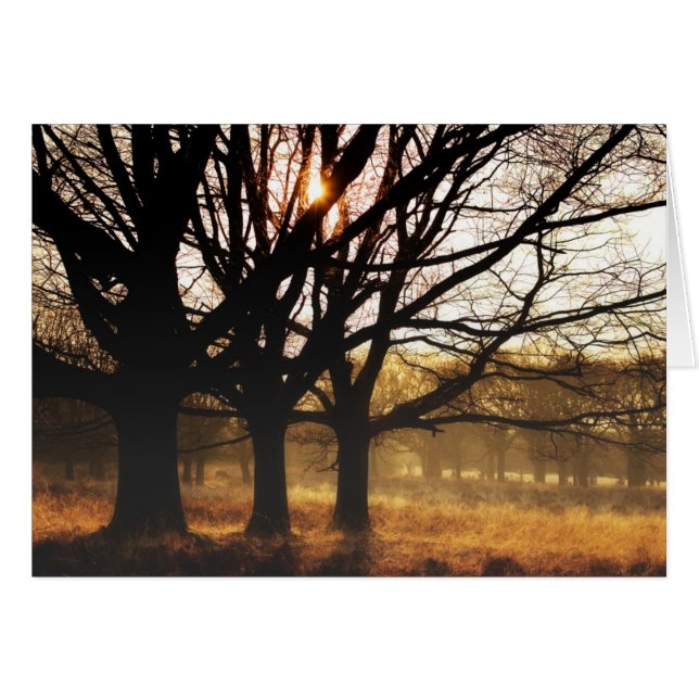 3本の木 (正面横)