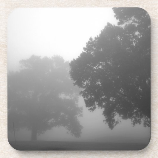 3本の木 コースター (正面)