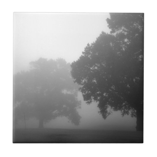 3本の木 タイル (正面)