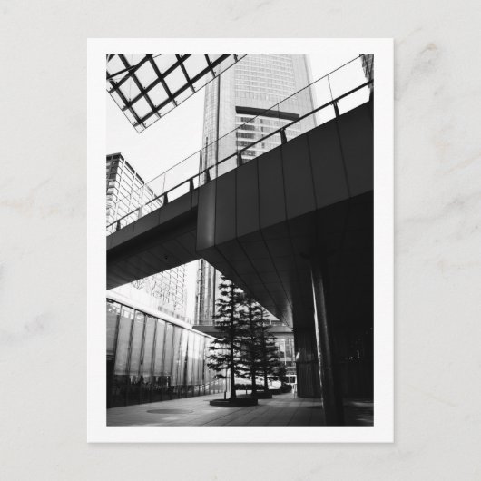 3本の木：東京 ポストカード (正面)