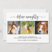 3枚のいけなおもしろいペット写真の定義 シーズンカード (正面)