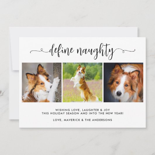 3枚のいけなおもしろいペット写真の定義 シーズンカード (正面)