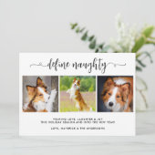 3枚のいけなおもしろいペット写真の定義 シーズンカード (スタンド正面)