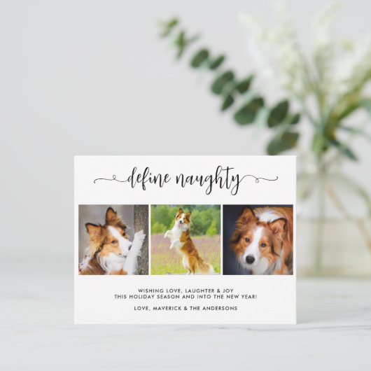 3枚のいけなおもしろいペット写真の定義 シーズンポストカード (スタンド正面)