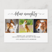 3枚のいけなおもしろいペット写真の定義 シーズンポストカード (正面)