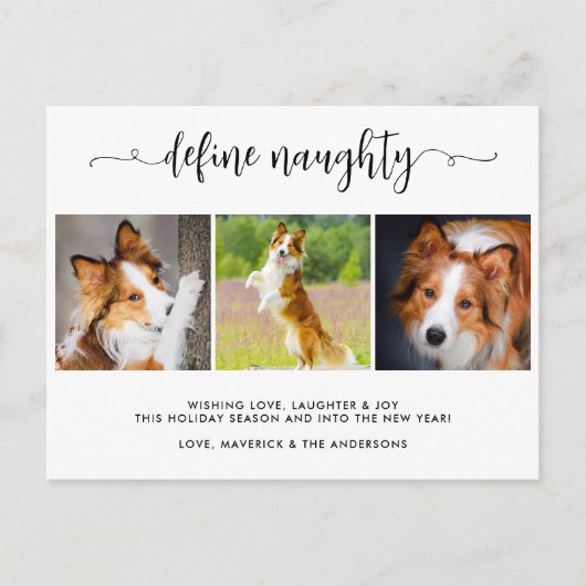 3枚のいけなおもしろいペット写真の定義 シーズンポストカード (正面)