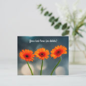 3枚のオレンジ色のガーベラスを並はがき ポストカード (スタンド正面)