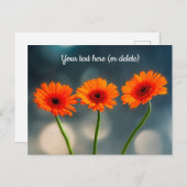 3枚のオレンジ色のガーベラスを並はがき ポストカード (正面/裏面)