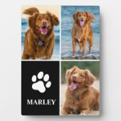 3枚の写真を組み合わせた犬好きのための爪痕の写真 フォトプラーク (正面)