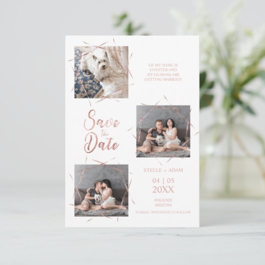 3枚の写真モダントレンディーバラ金ゴールド効果 (スタンド正面)