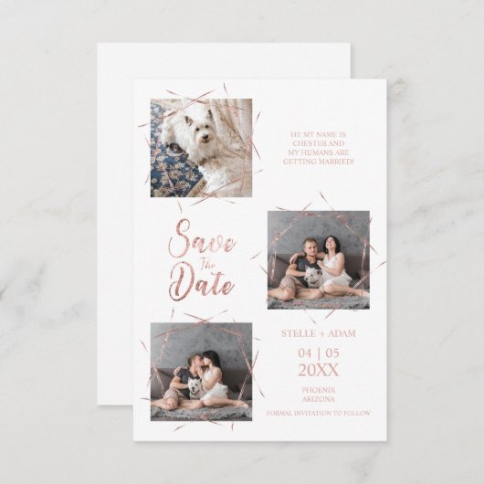 3枚の写真モダントレンディーバラ金ゴールド効果 (正面/裏面)