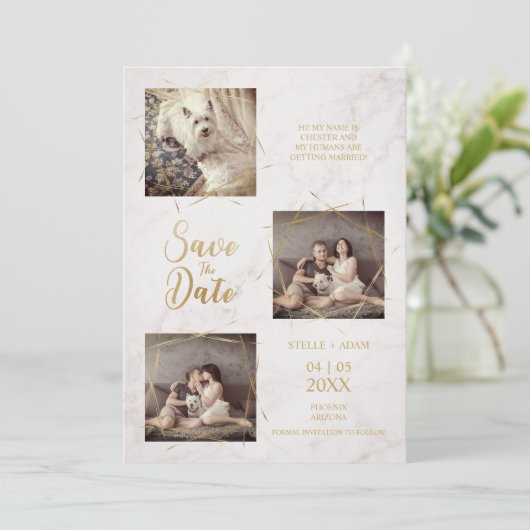 3枚の写真婚約アナウンスフェイク大理石 (スタンド正面)