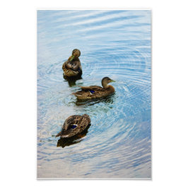 3枚の写真 フォトプリント           