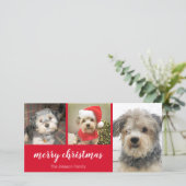 3枚の写真 – Simply Red Holly - Merry Christmas シーズンカード (スタンド正面)