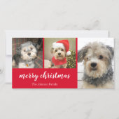 3枚の写真 – Simply Red Holly - Merry Christmas シーズンカード (正面)