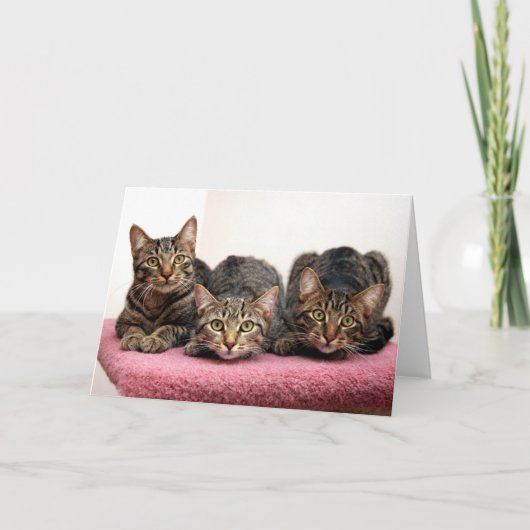 3枚の友達のカード カード (正面)