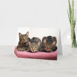 3枚の友達のカード カード