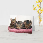 3枚の友達のカード カード (黄色い花)