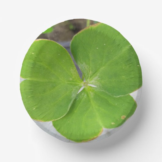 3枚エレガント葉デザイン7インチ ペーパーボウル (正面)