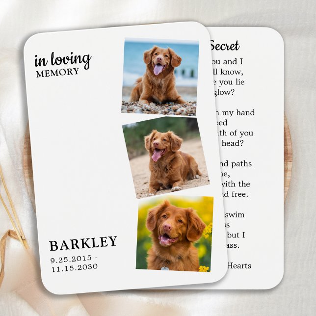 3枚モダンフォトペット記念記念祈りの言葉カード (クリエイターアップロード済み)