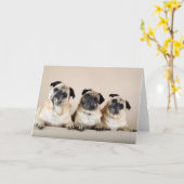 3枚続けて カード (黄色い花)