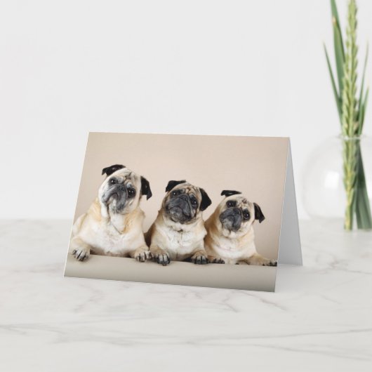 3枚続けて カード (正面)