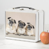 3枚続けて メタルランチボックス (インサイチュ)