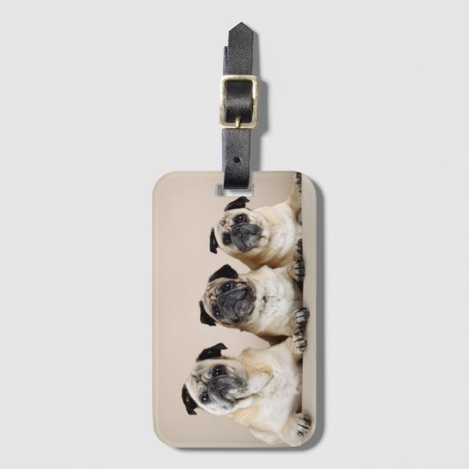 3枚続けて ラゲッジタグ (正面縦)