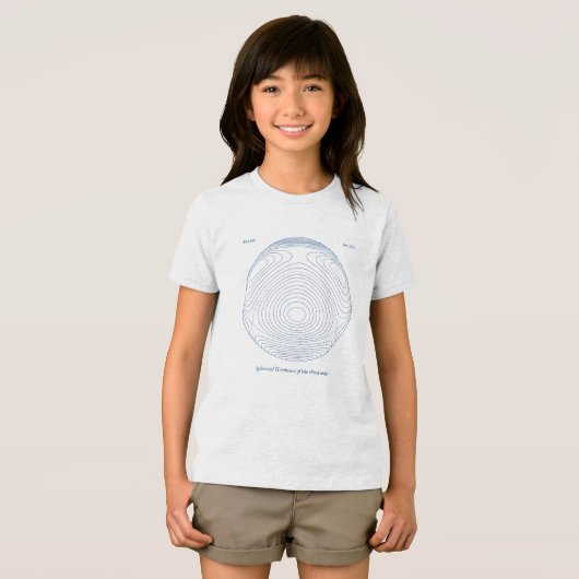 3次の球面調和関数 トライブレンドＴシャツ (正面全面)