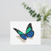 3次元蝶 ポストカード (スタンド正面)